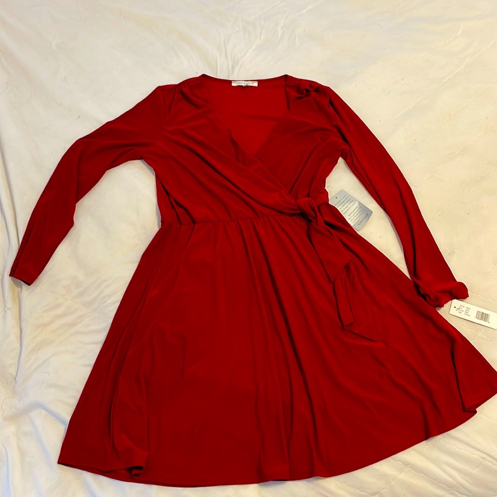 Ruby dress, great for a Holiday party!